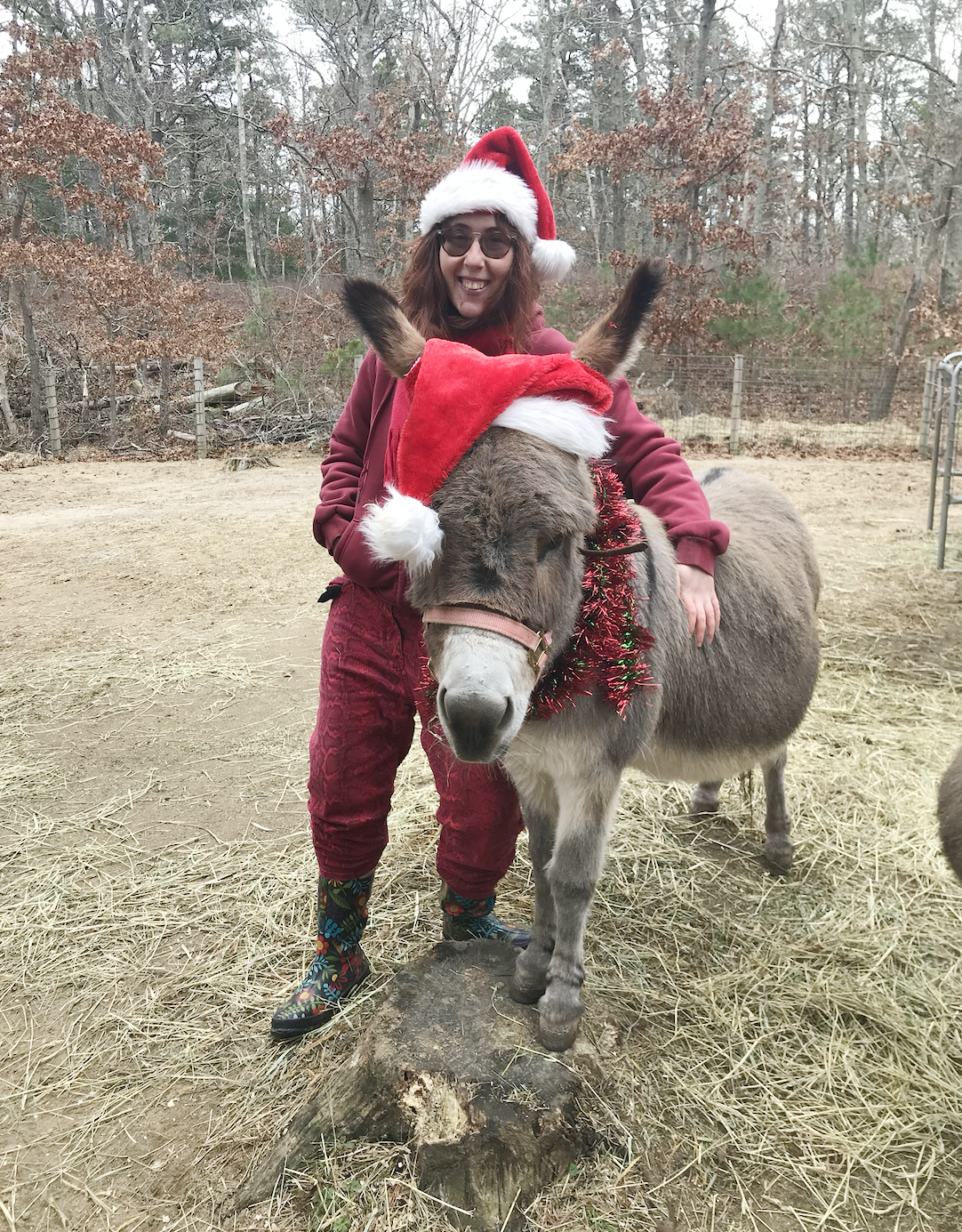Nina and Donkey Holiday 2023